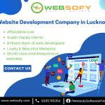 Website designing in Lucknow Profile Picture