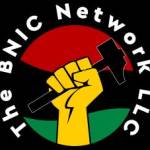 The BNIC Network Profile Picture